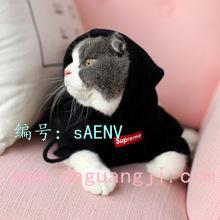 ʽ