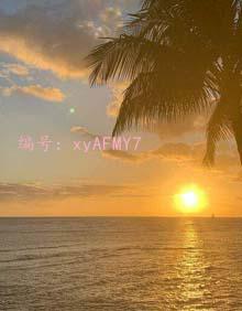 λ