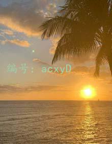 λ