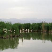 Ŀ