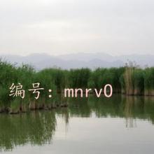 Ͻ