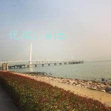 ʵ