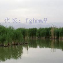 ɹ